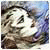 Avatar de Usuario