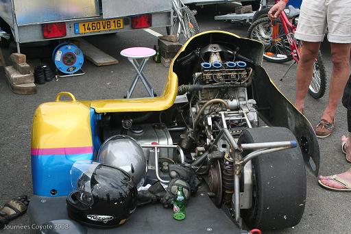 Coyote_2008_Paddock_52.jpg