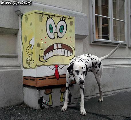 perro-y-bob-esponja.jpg