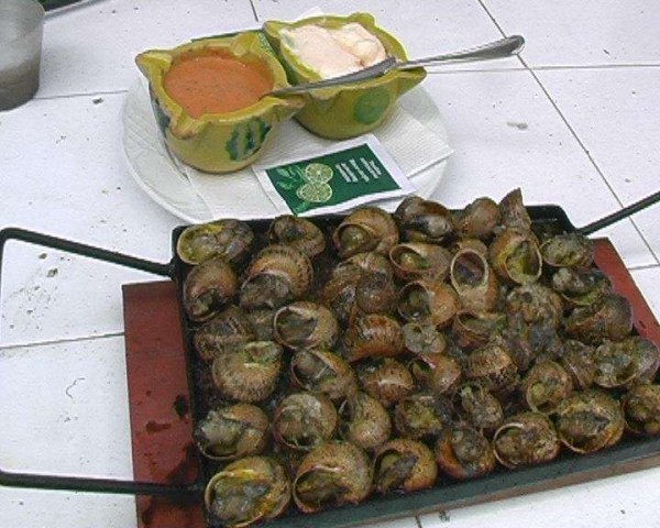 caracoles-a-la-llauna.jpg