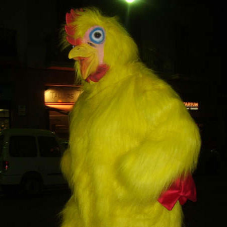 disfraz_de_pollo.jpg