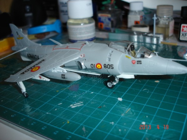 harrier 008.jpg