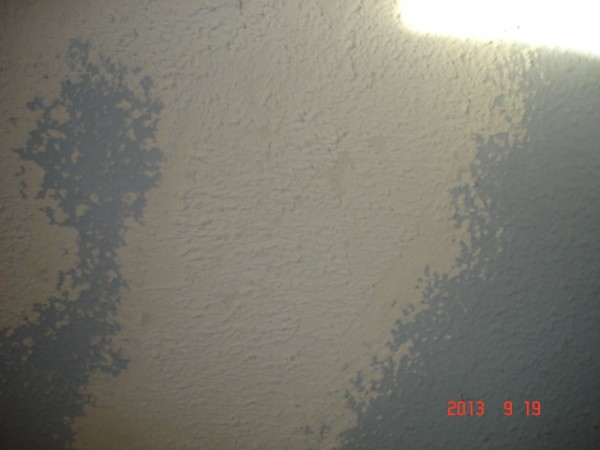 pared 003.jpg