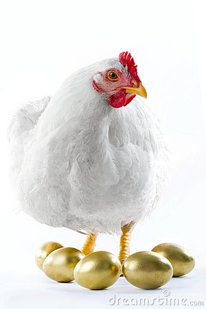 gallina.jpg