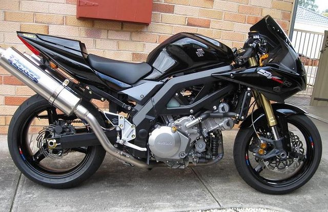 sv radical.jpg