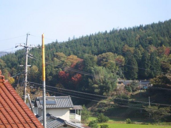 IMG_6169.jpg (59.41 KiB) Visto 34508 veces IMG_6169.jpg