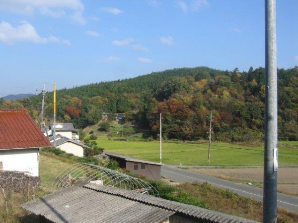 IMG_6172.jpg (55.48 KiB) Visto 35996 veces IMG_6172.jpg