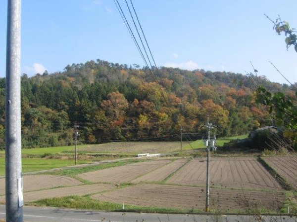 IMG_6173.jpg (57.01 KiB) Visto 36024 veces IMG_6173.jpg