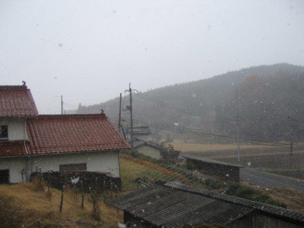 IMG_6244.jpg