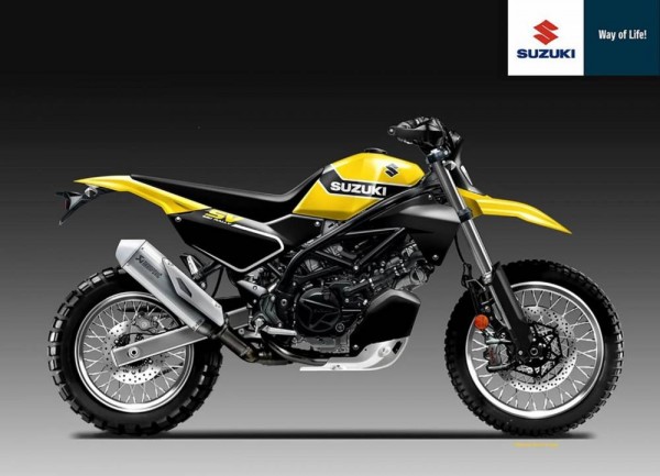 Suzuki-SV650-Rally-Oberdan-Bezzi.jpg